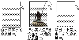 七龙纪2手机版(七龙纪3)