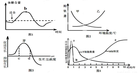 青岛政务网官方网站(青岛政务网)