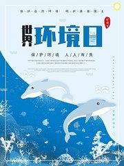 海豚保宝是什么产品(海豚保宝)